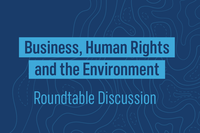 Business, Human Rights and the Environment