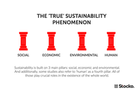 4 Pillars of True Sustainability