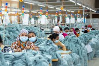 What you should know about the Switch Garment project