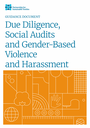 Partnership for Sustainable Textiles: Guidance Document Due Diligence, Social Audits and Gender-Based Violence