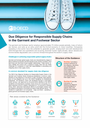 Due Diligence for Responsible Supply Chains in the Garment and Footwear Sector - flyer