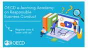 The OECD e-learning Academy on Responsible Business Conduct