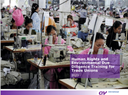 The Role of Trade Unions in Human Rights and Environmental Due Diligence (HREDD)