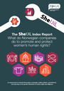 The SheDil Index Report: What do Norwegian companies do to promote and protect women’s human rights?