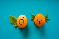 Introduction to IETP's New Gender Equality Program