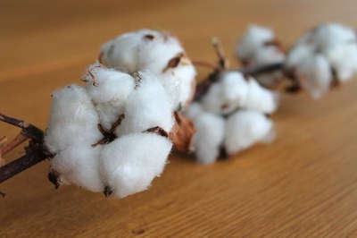Cotton transparency and traceability for textile industry supply chains