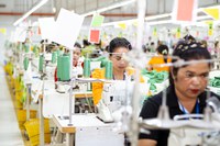 Decent Work in Global Supply Chains