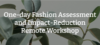 One-day Fashion Assessment and Impact-Reduction Remote Workshop