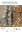 Wood study report