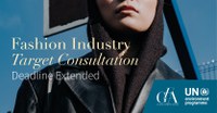 Fashion Industry Target Consultation