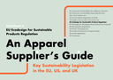 Factsheet 6 - EU Ecodesign for Sustainable Products Regulation