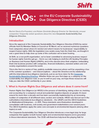 FAQs: on the EU Corporate Sustainability Due Diligence Directive (CS3D)