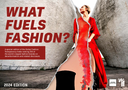 What Fuels Fashion?